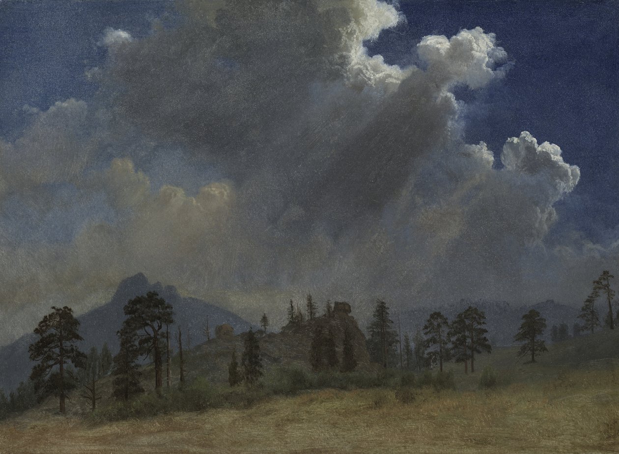 Jedle a bouřkové mraky, asi 1870 (olej na papíře na plátně) od Albert Bierstadt