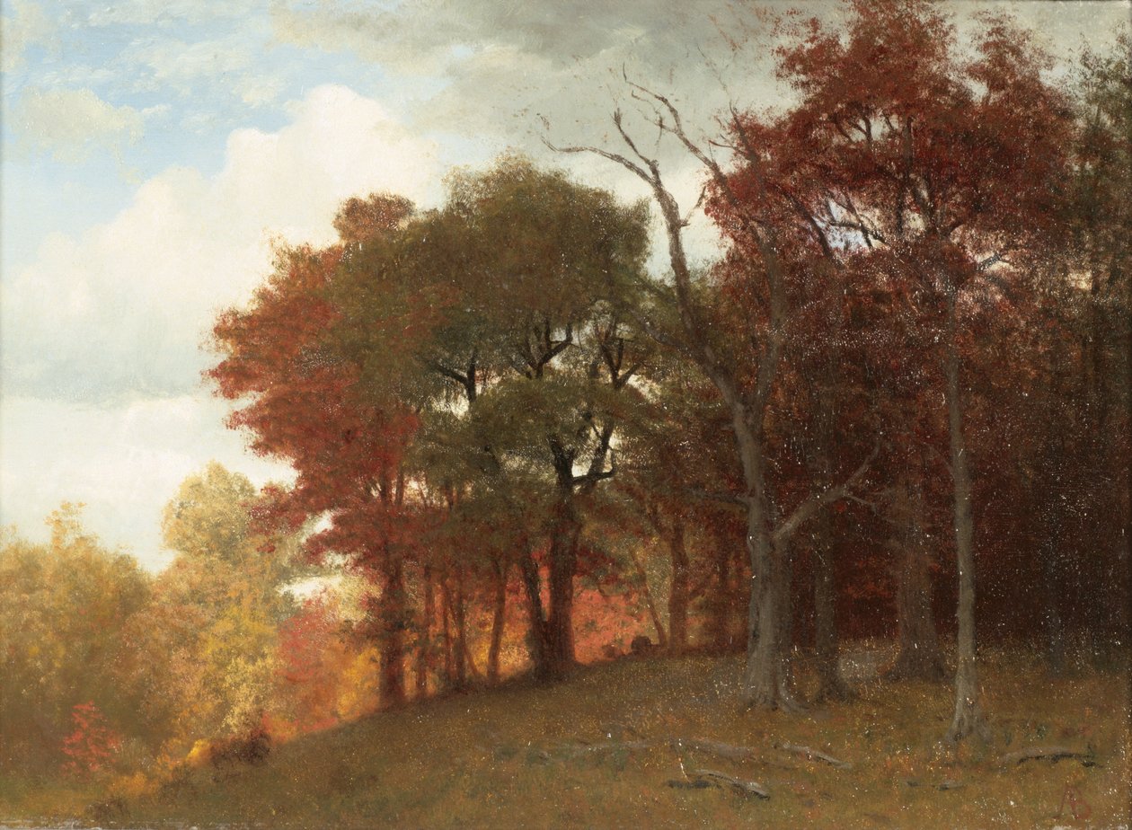 Hastings na řece Hudson, 1865 (olej na plátně) od Albert Bierstadt