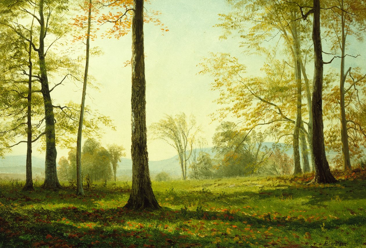  od Albert Bierstadt