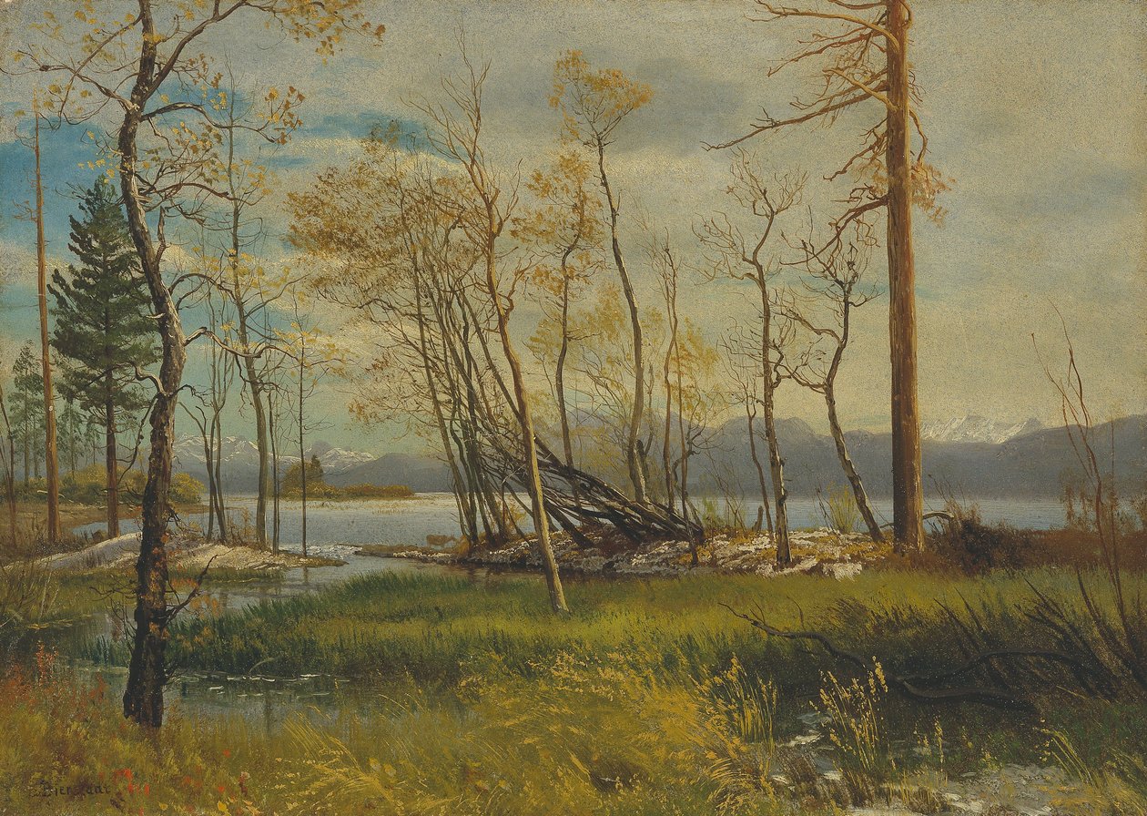 Jezero Tahoe od Albert Bierstadt