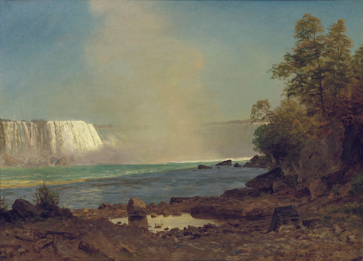 Niagarské vodopády, 1863 od Albert Bierstadt