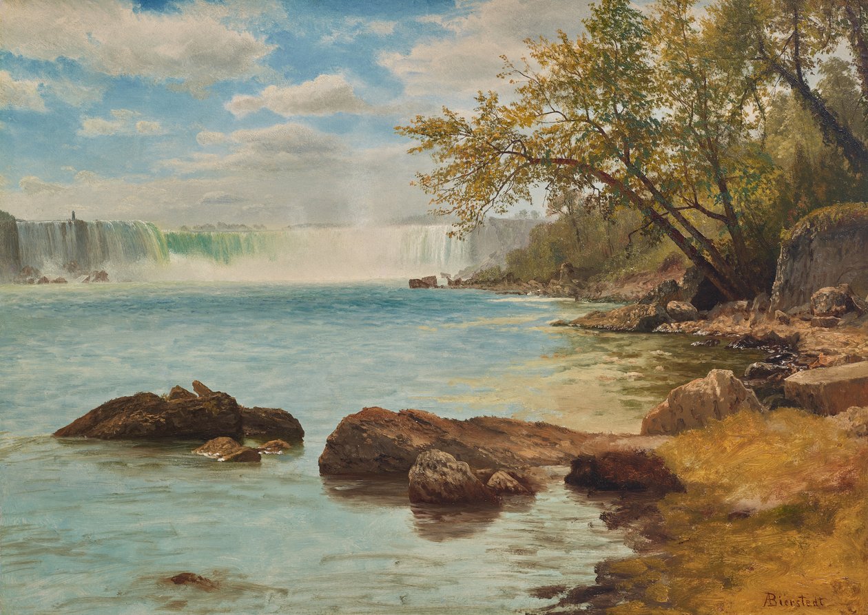 Niagarské vodopády s Terrapin Tower, asi 1869 (olej na papíře) od Albert Bierstadt