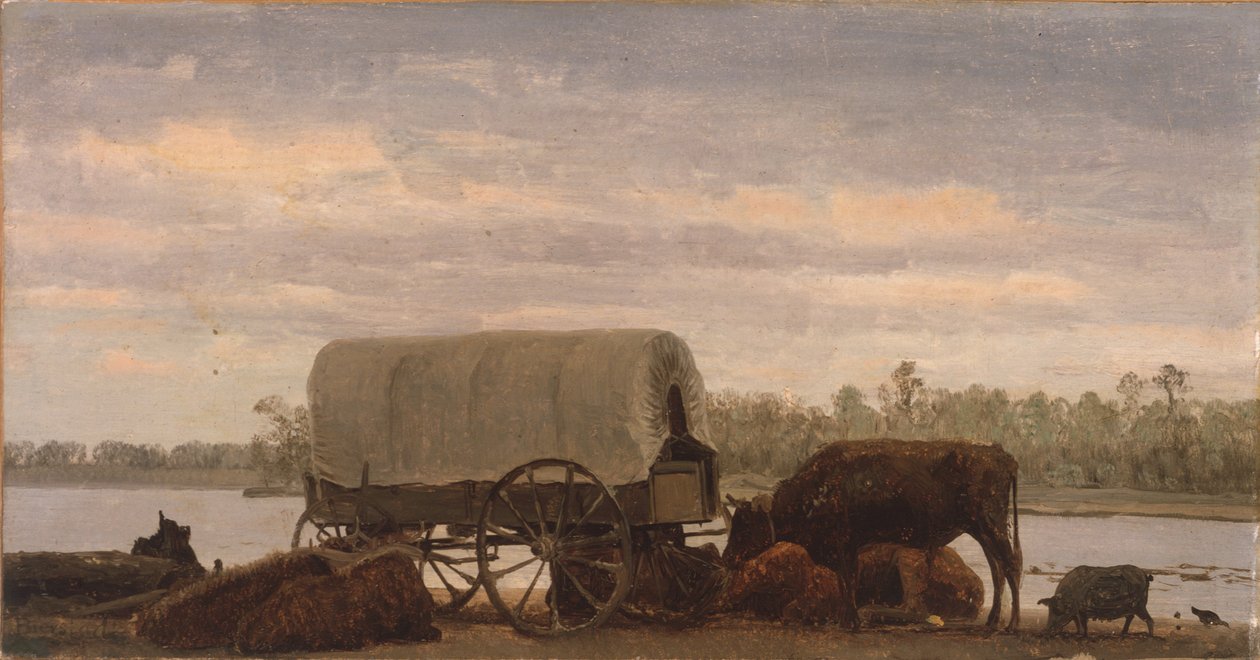 Polední klid na řece Platte, asi 1859 (olej na papíře na plátně) od Albert Bierstadt