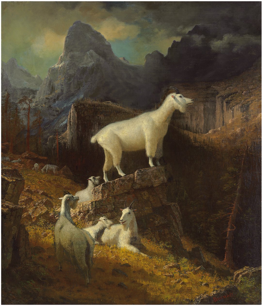 Rocky Mountain Goats, cca 1885 (olej na plátně) od Albert Bierstadt
