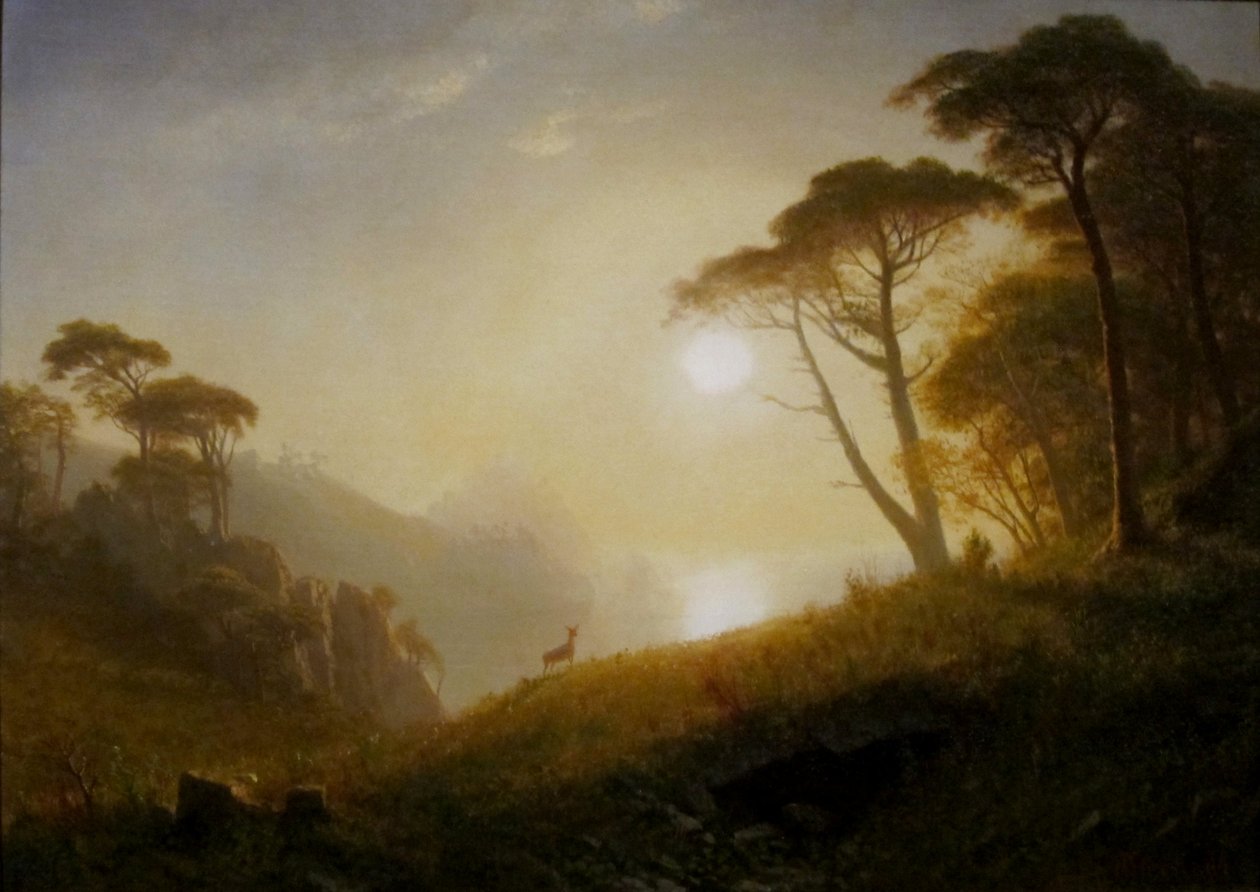 Scény v Yosemitském údolí od Albert Bierstadt