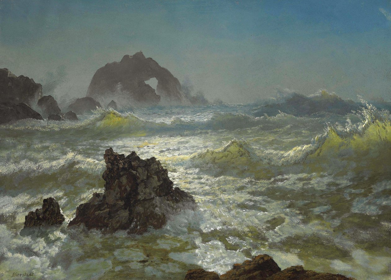 Seal Rock, Kalifornie od Albert Bierstadt