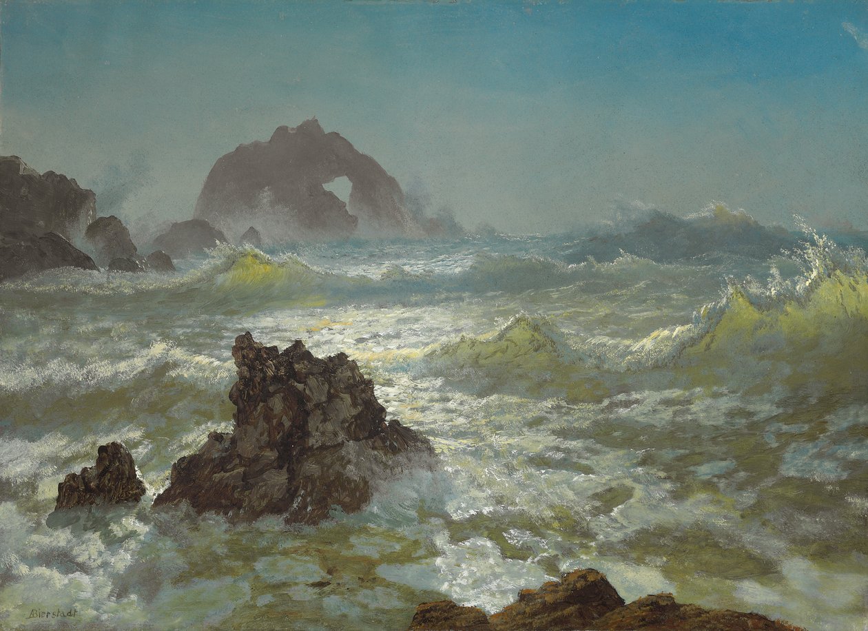 Seal Rock, Kalifornie, kolem roku 1872 od Albert Bierstadt