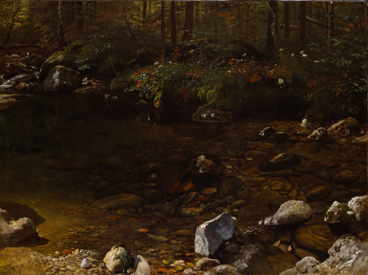 Stinné jezírko, White Mountains, New Hampshire od Albert Bierstadt