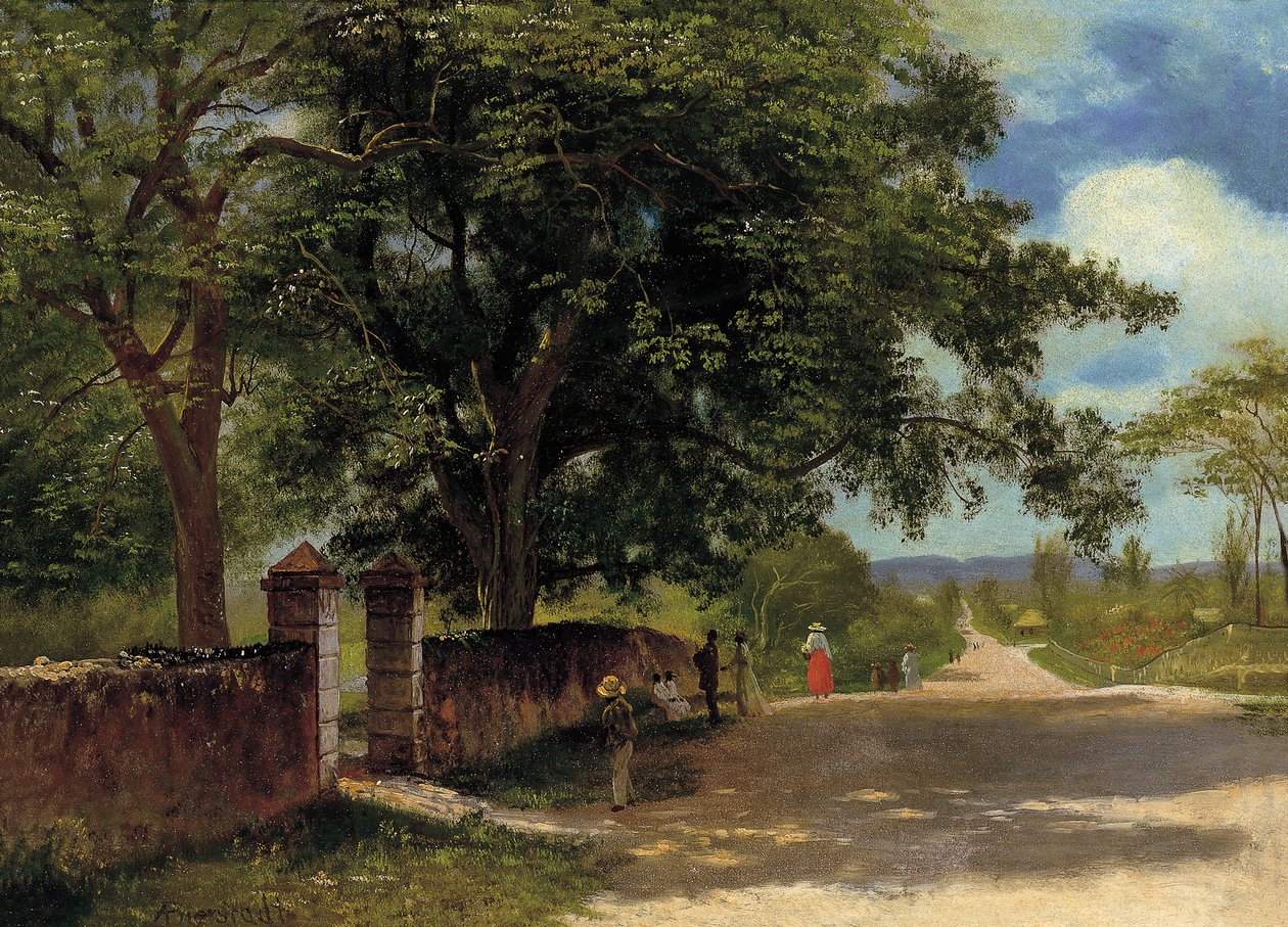 Street in Nassau od Albert Bierstadt