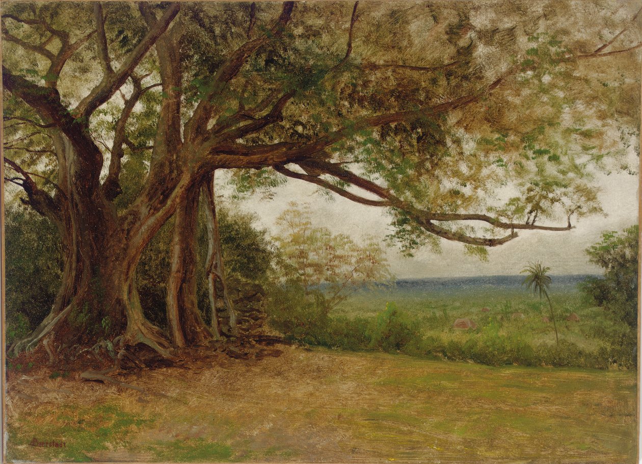Studie pro "Přistání Kolumba", 1892 od Albert Bierstadt