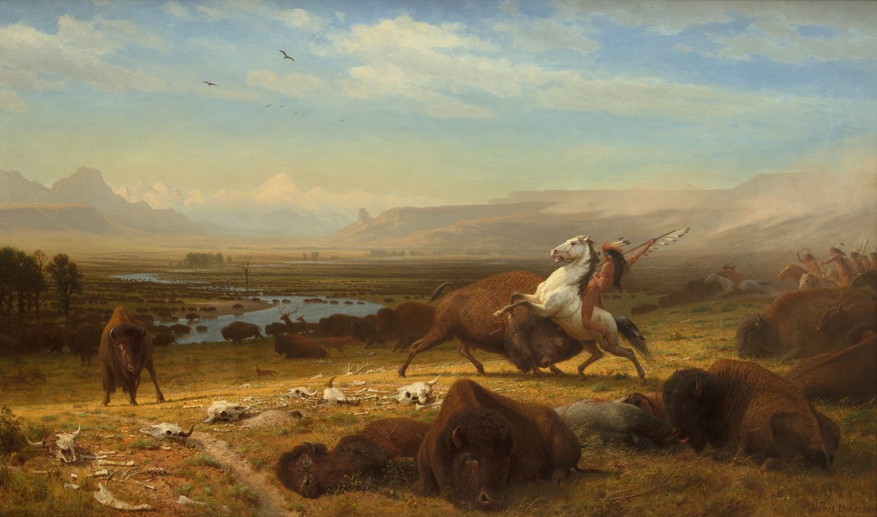 The Last of the Buffalo, c.1888 od Albert Bierstadt