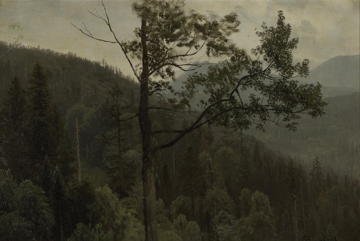 Hory pokryté stromy od Albert Bierstadt