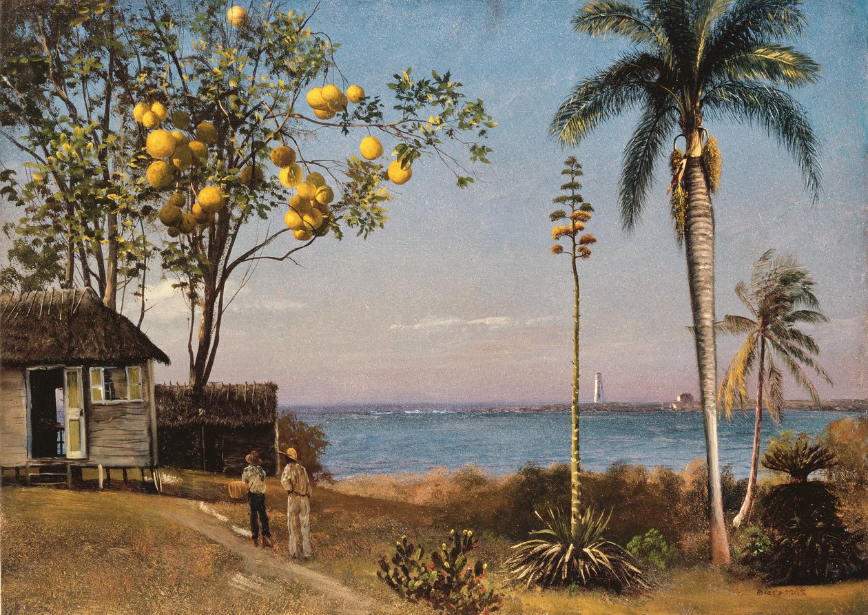 Tropická scéna od Albert Bierstadt