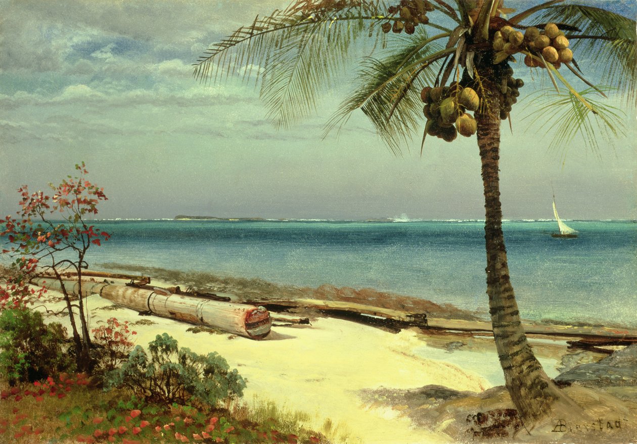 Neznámý obrázek od Albert Bierstadt