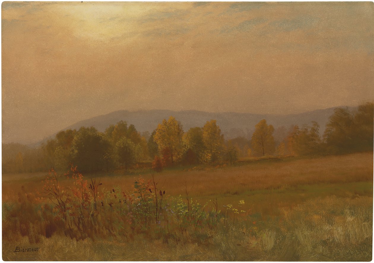 Neznámý obrázek od Albert Bierstadt