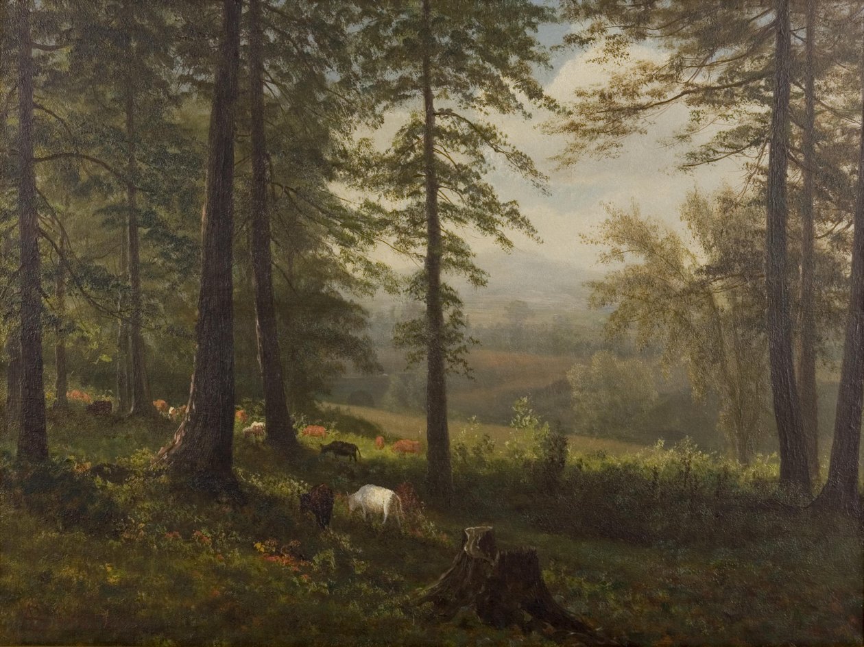 Pohled na mýtinu od Albert Bierstadt