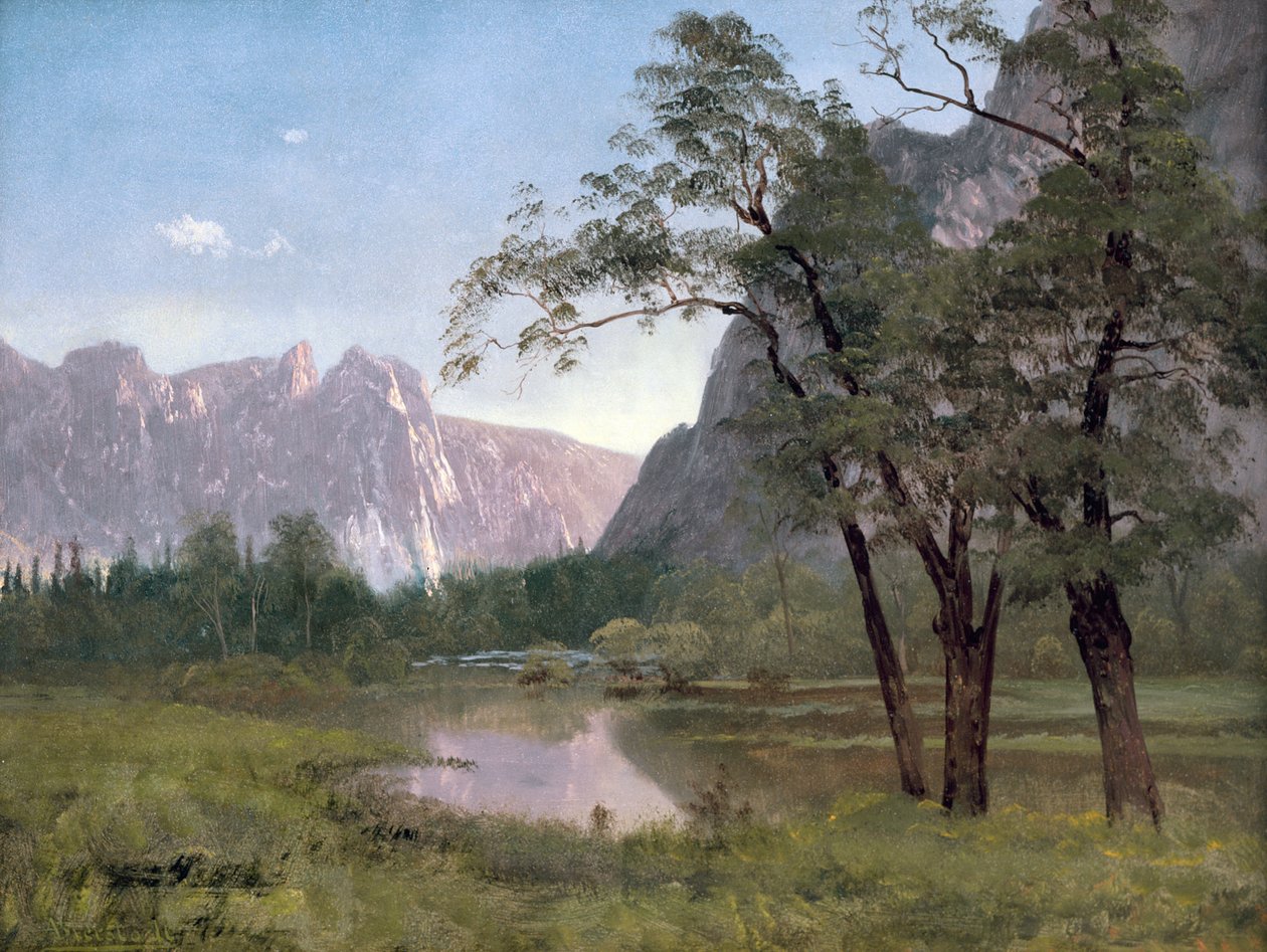 Yosemitské údolí (olej na papíře připevněné na plátně) od Albert Bierstadt