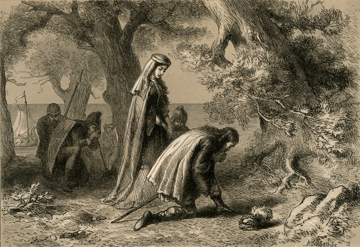 Thorfinn a Gudrid na pobřeží Vineland, 1877. od Albert Bobbett