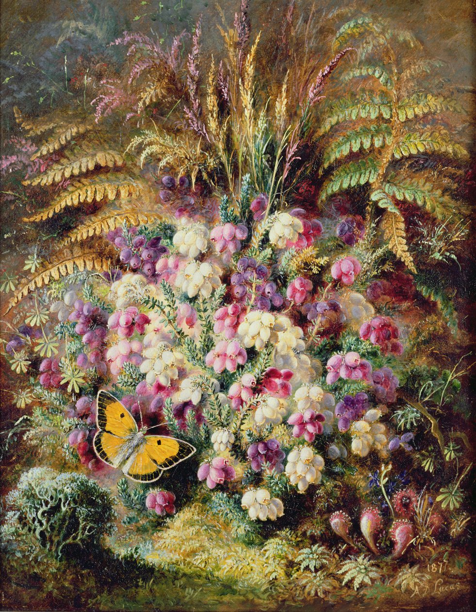 Bell Heather, 1877 od Albert Durer Lucas