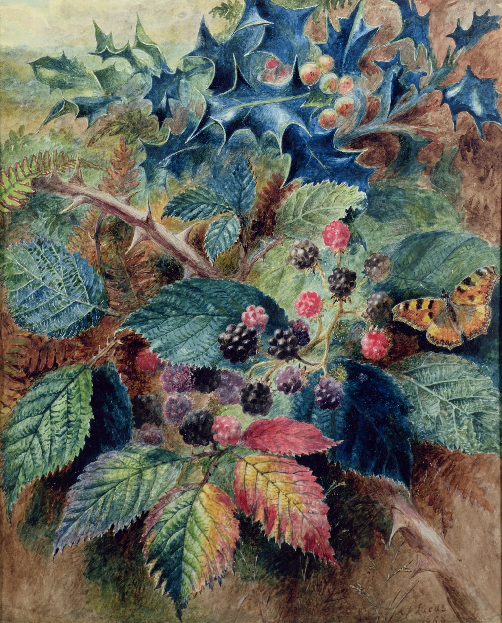 Ostružiny a Holly s motýlem od Albert Durer Lucas