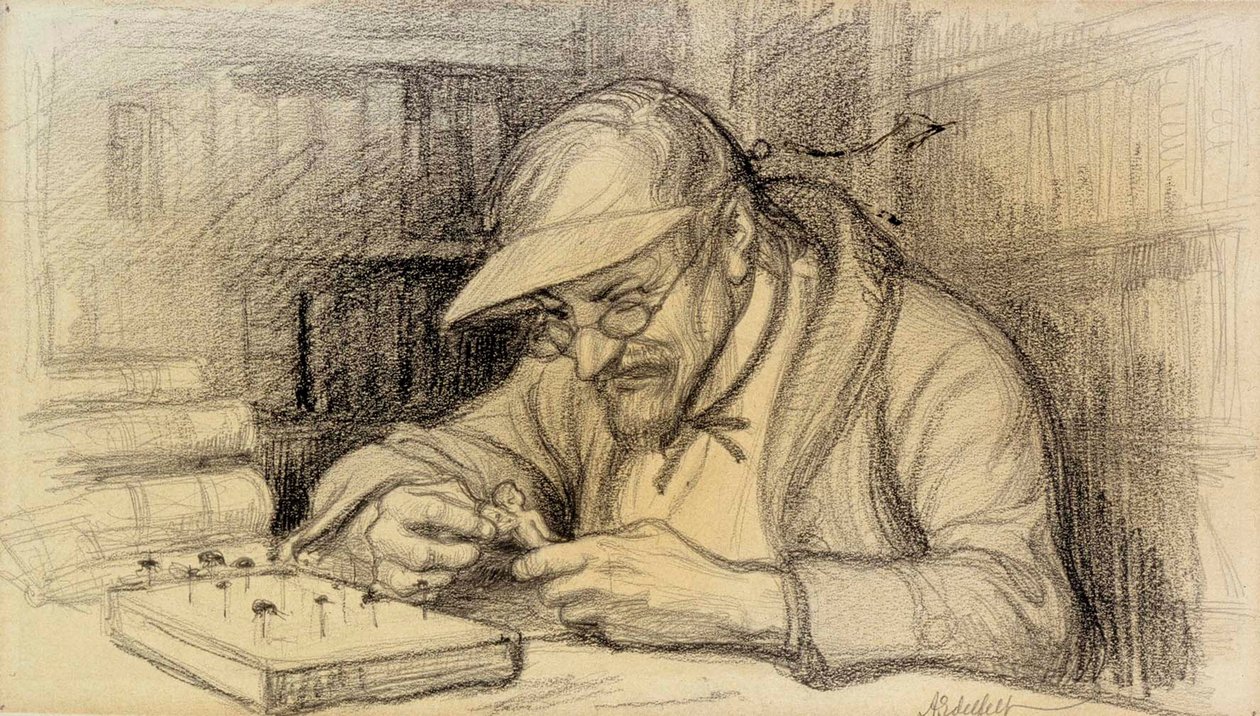 Ilustrace malého génia od Albert Edelfelt