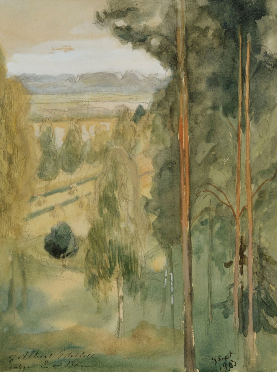 Krajina od Albert Edelfelt