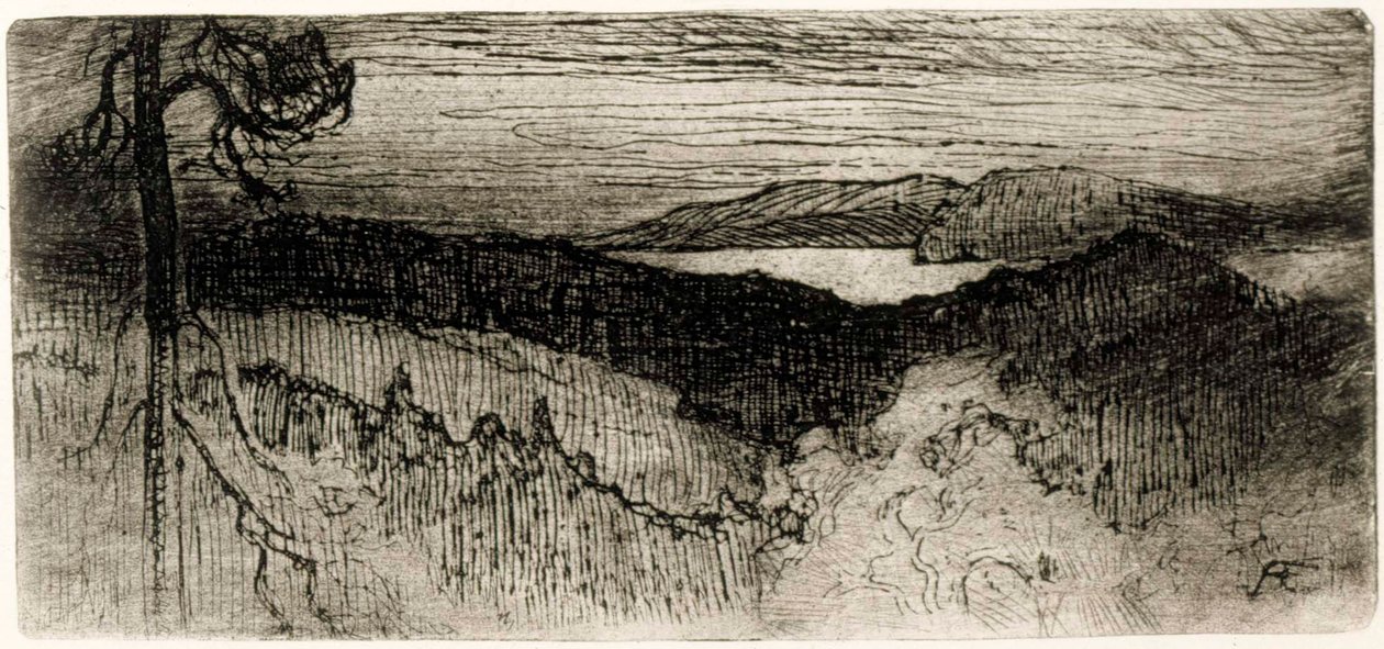 Krajina z Tavastie od Albert Edelfelt