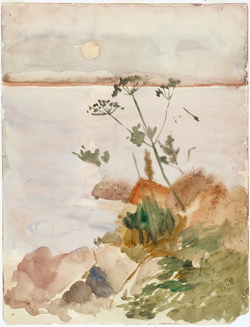 Mořské pobřeží v měsíčním svitu od Albert Edelfelt