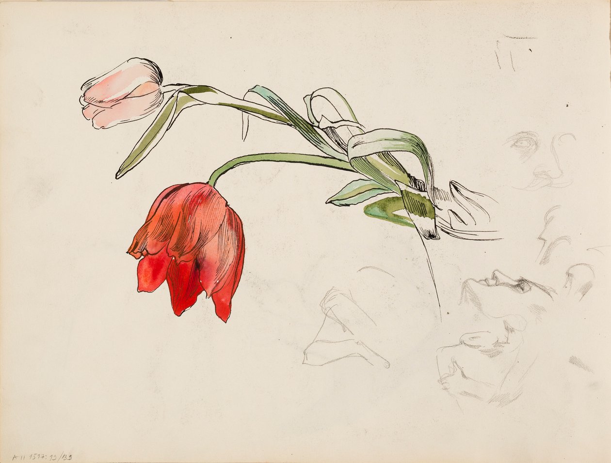 Tulipány, tvář výzkumné práce od Albert Edelfelt