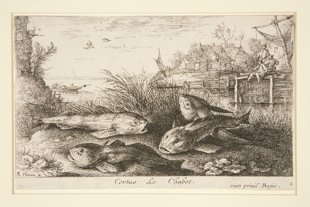 Cortus, Le Chabot od Albert Flamen