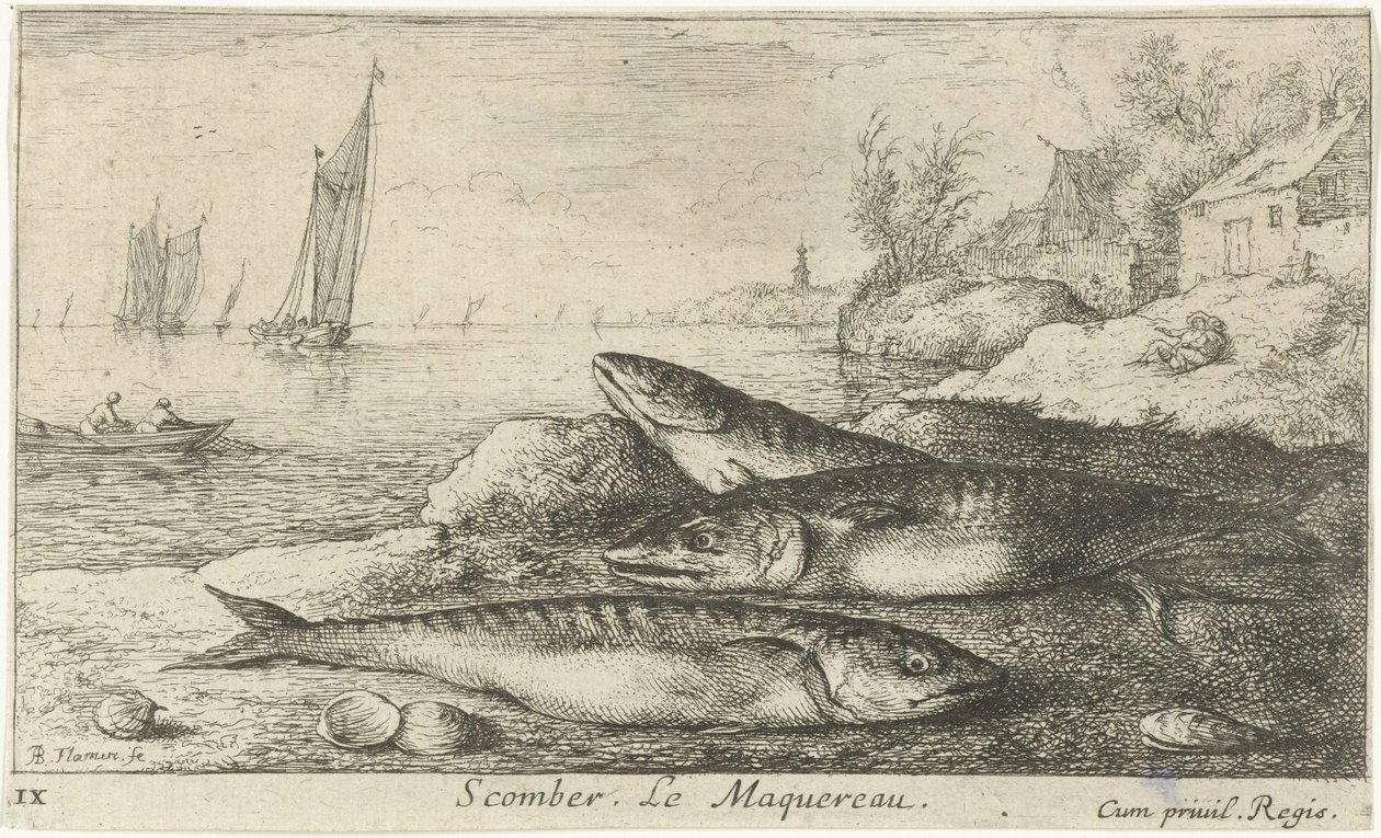 Tři makrely na pláži Scomber. Le Maquereau. (název na objektu) Ryby a další mořští tvorové - slaná voda první série (název série) Diverse Especes de Poissons de mer (název série) od Albert Flamen