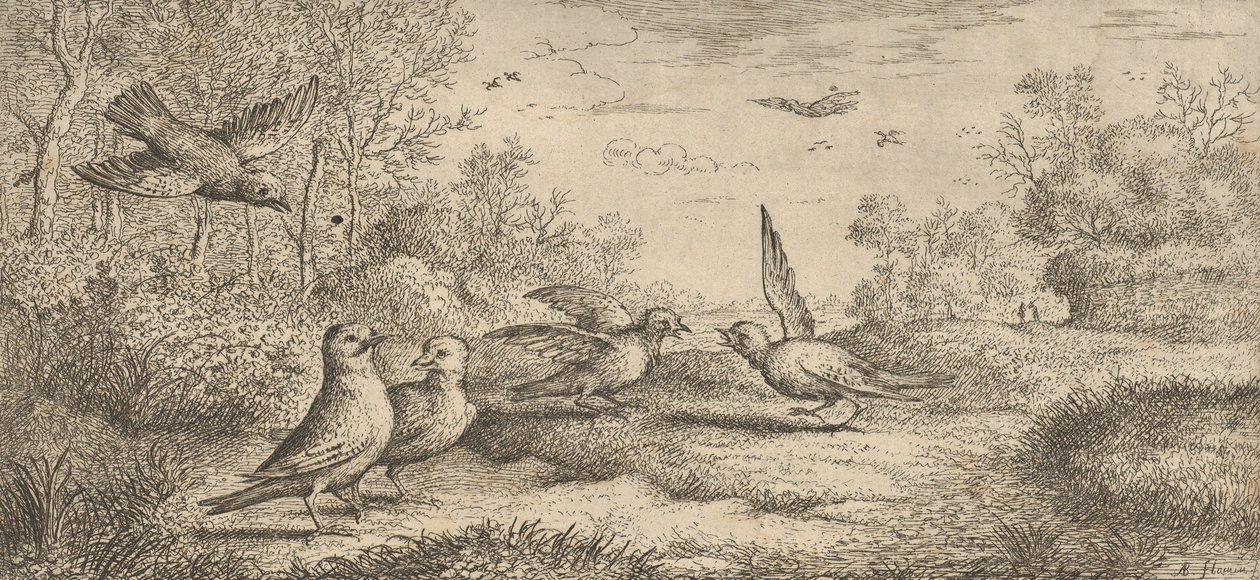 Garrulus, Get The Jay: Livre d