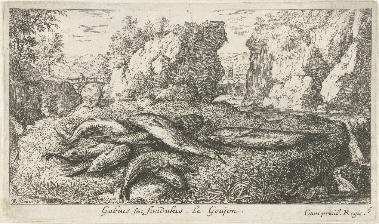 Gobies na břehu řeky Gabius siue fundulus. Le Goujon. (název na objektu) Ryby a další mořští tvorové - sladkovodní druhá série (název série) Seconde partie de Poissons d