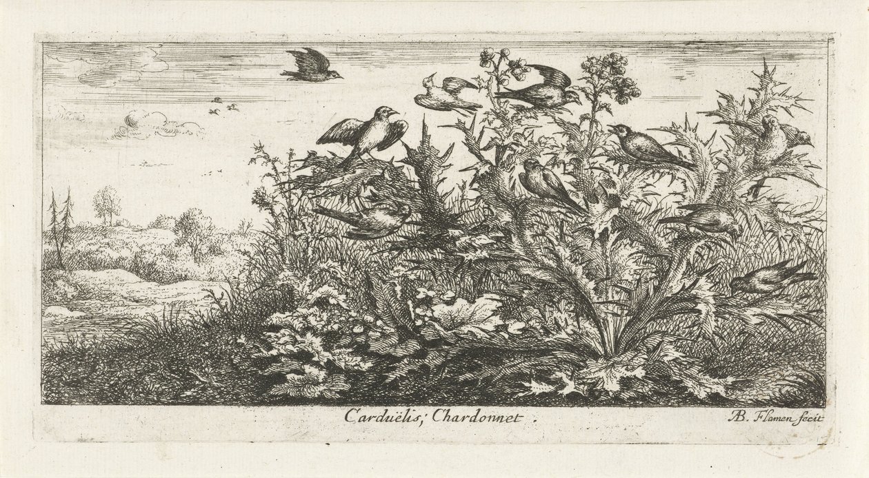 Krajina se stehlíkem v bodláku Carduelis; Chardonneret. (název na objektu) Ptačí kniha (název série) Livre d