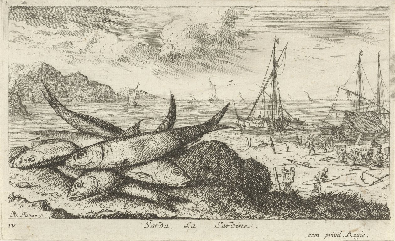 Sardinky na pláži Sarda, La Sardine. (název na objektu) Ryby a další mořští tvorové - slaná voda první série (název série) Diverse Especes de Poissons de mer (název série) od Albert Flamen