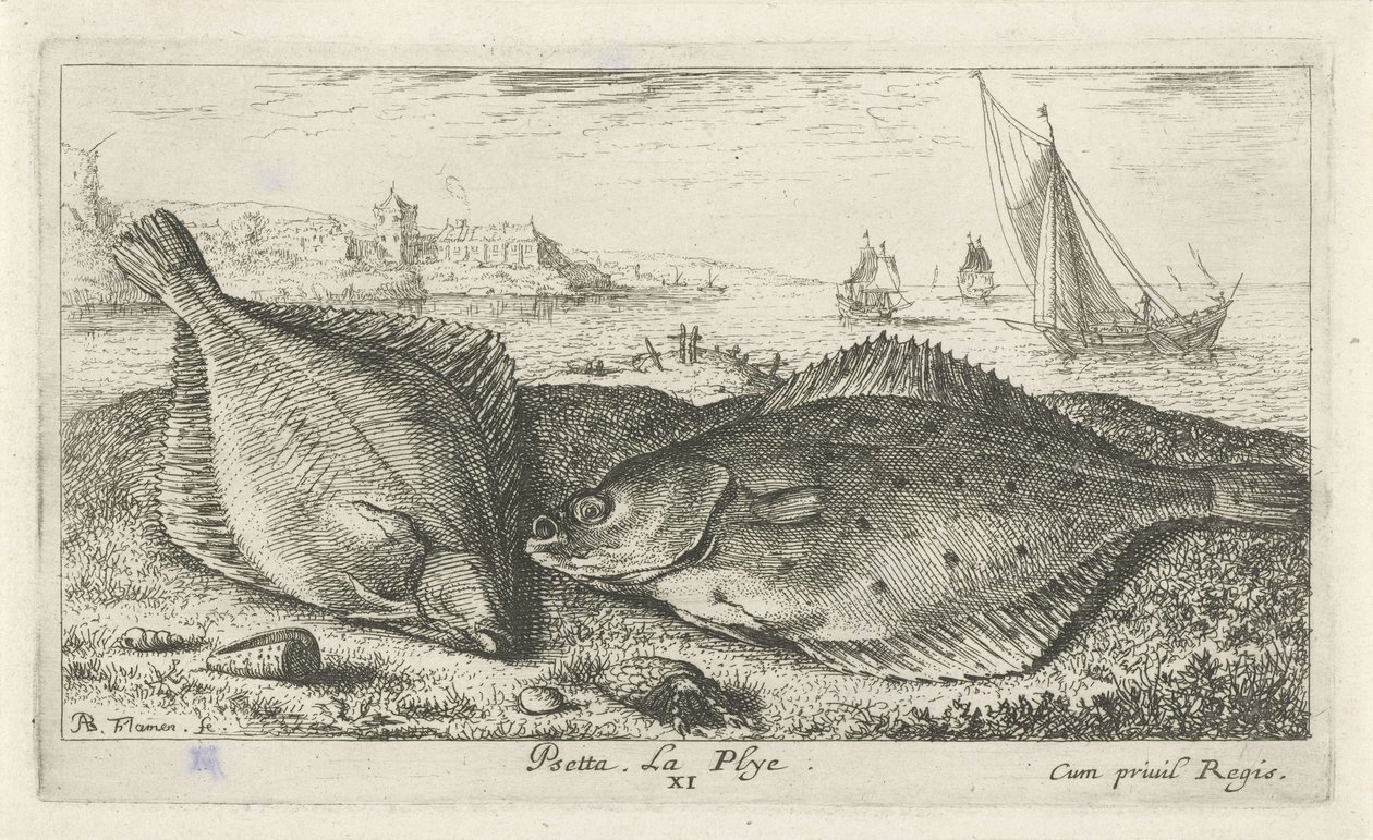 Dvě platýse na pláži psetta. La Plye. (název na objektu) Ryby a další mořští tvorové - slaná voda druhá série (název série) Poissons de mer (název série) od Albert Flamen