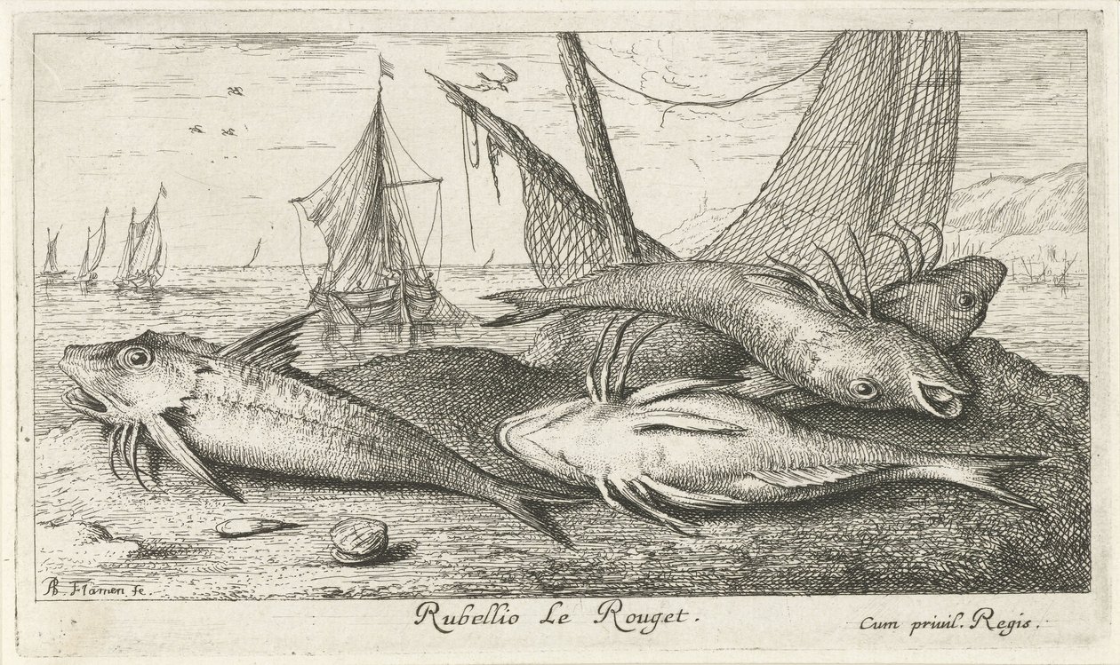 Čtyři parmice na pláži Rubellio Le Rouget. (název na objektu) Ryby a další mořští tvorové - slaná voda druhá série (název série) Poissons de mer (název série) od Albert Flamen