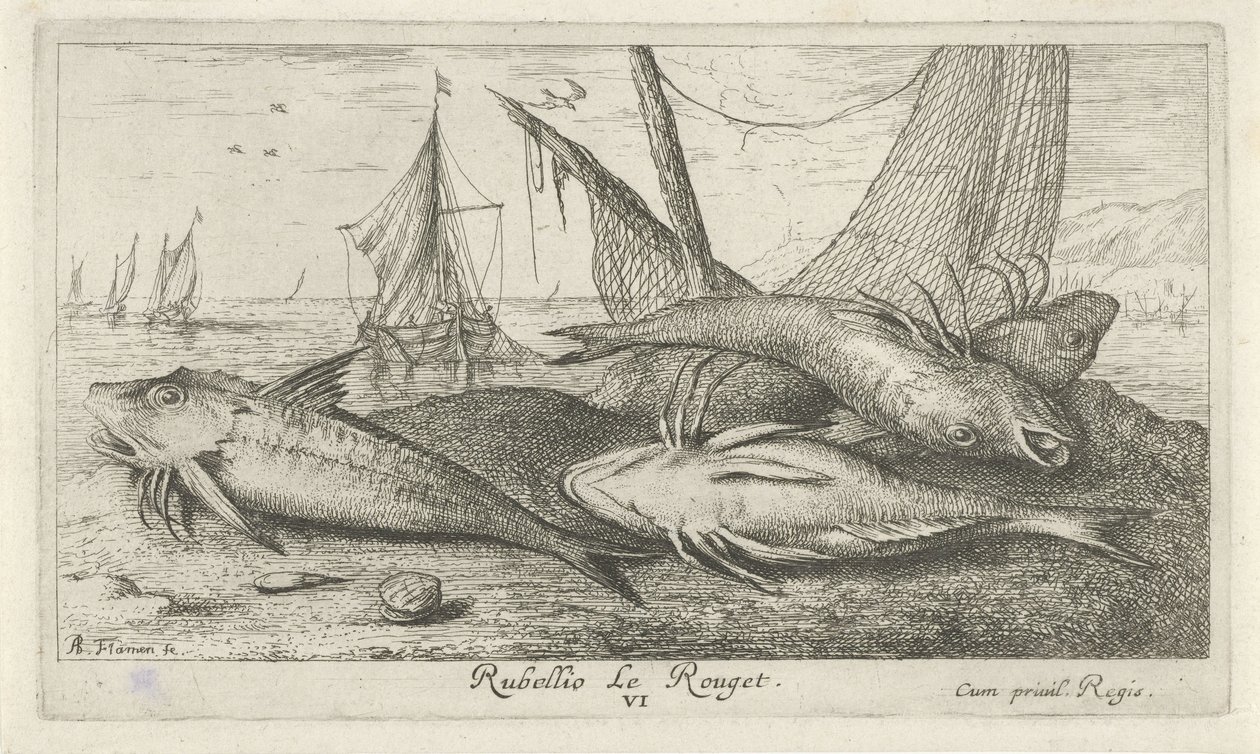 Čtyři parmice na pláži Rubellio Le Rouget. (název na objektu) Ryby a další mořští tvorové - slaná voda druhá série (název série) Poissons de mer (název série) od Albert Flamen