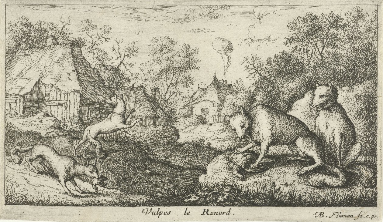 lišky Vulpes le Renard (název na objektu) Různé druhy zvířat (název série) od Albert Flamen
