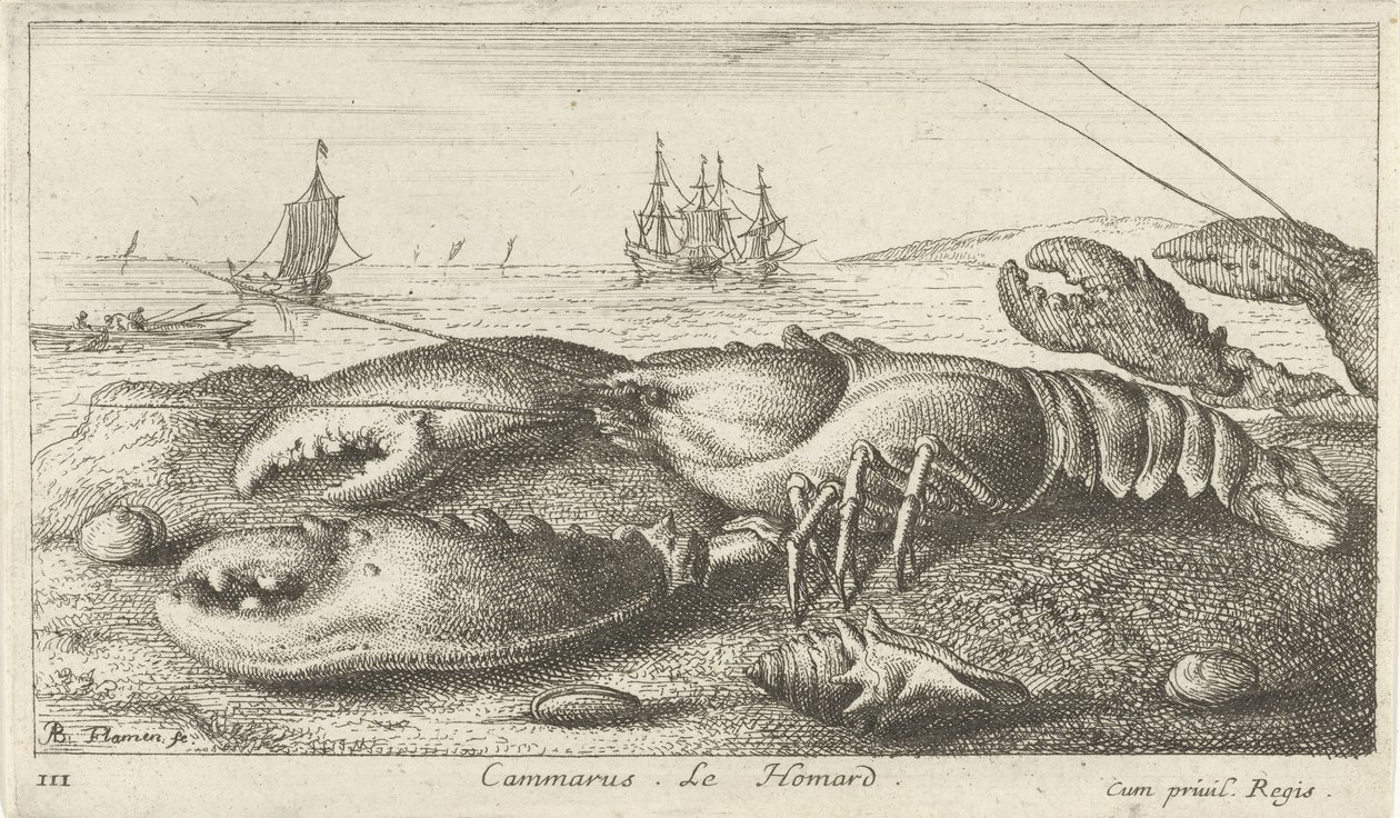 Humr na pláži Cammarus. LeHomard (název na objektu) Ryby a další mořští tvorové - slaná voda první série (název série) Diverse Especes de Poissons de mer (název série) od Albert Flamen