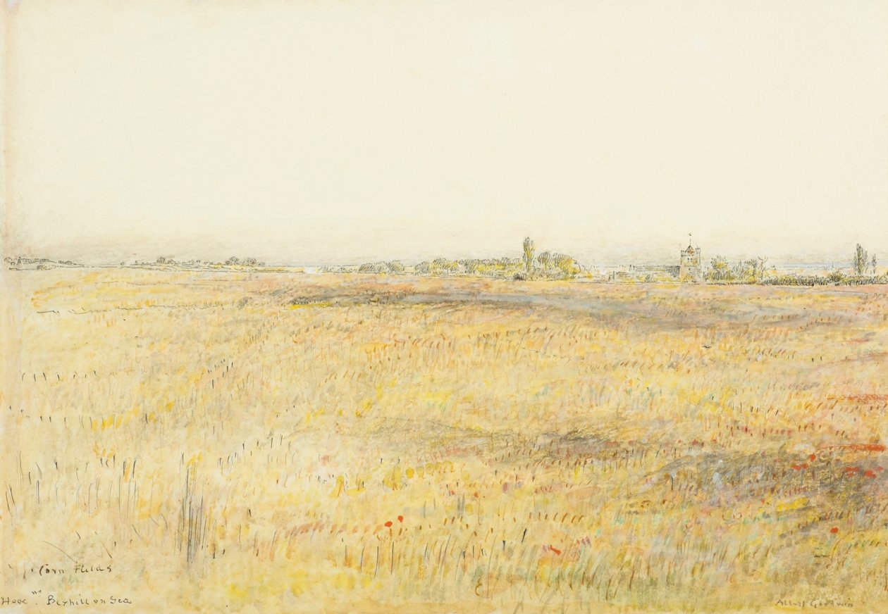 Kukuřičná pole, Hooe. Bexhill on Sea (akvarel s tuší) od Albert Goodwin