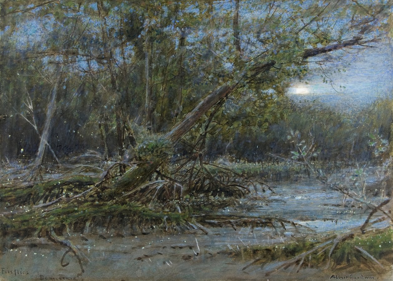 Fireflies, Demerera, c.1902 (bez barvy a karoserie na papíře) od Albert Goodwin