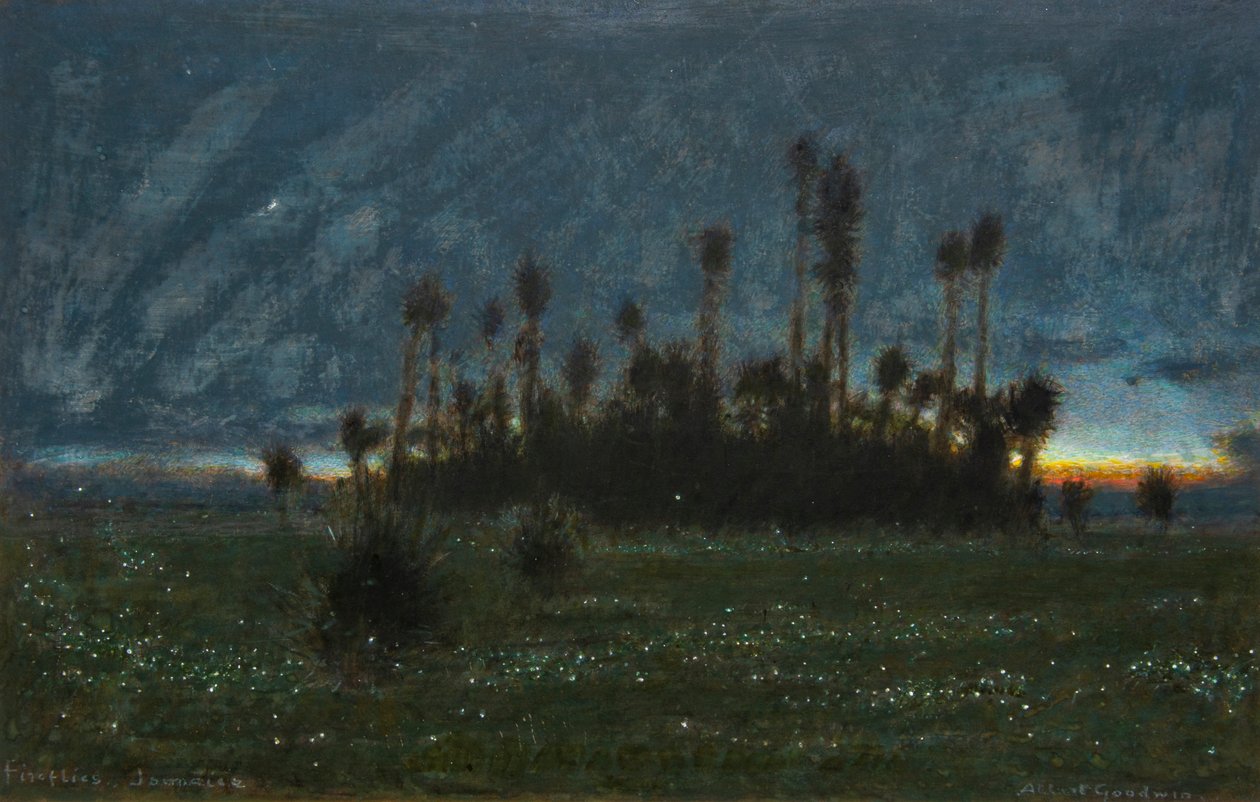 Světlušky, Jamajka (akvarel s tělovou barvou) od Albert Goodwin