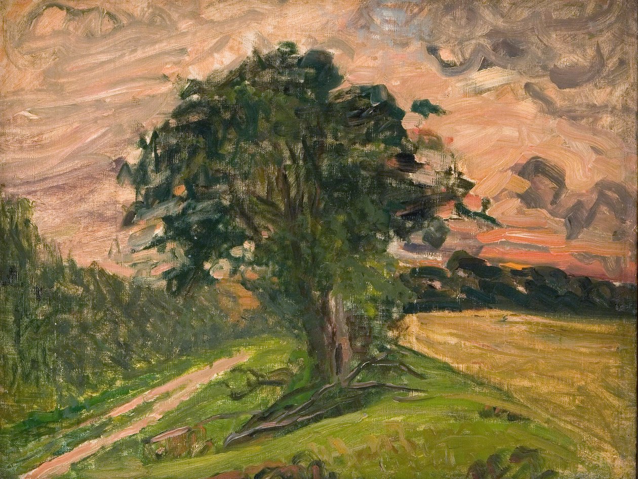Večerní krajina. Tisvilde od Albert Gottschalk