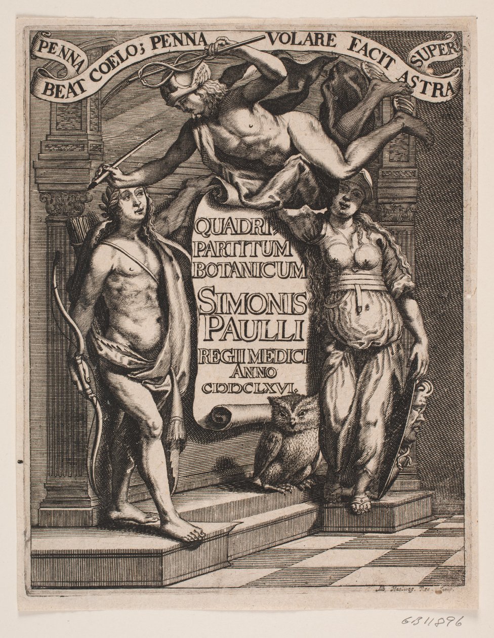 Titelblad til Simon Paulli, "Quadripartitum Botanicum", 1667 od Albert Haelwegh