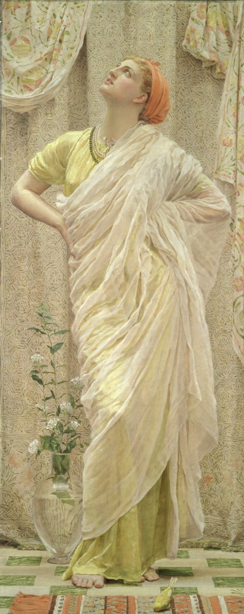 Ptactvo od Albert Joseph Moore