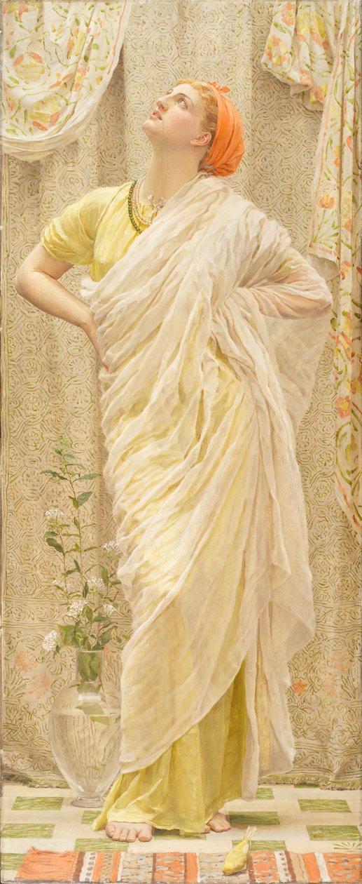 Ptáci známí také jako Kanárské ostrovy. od Albert Joseph Moore