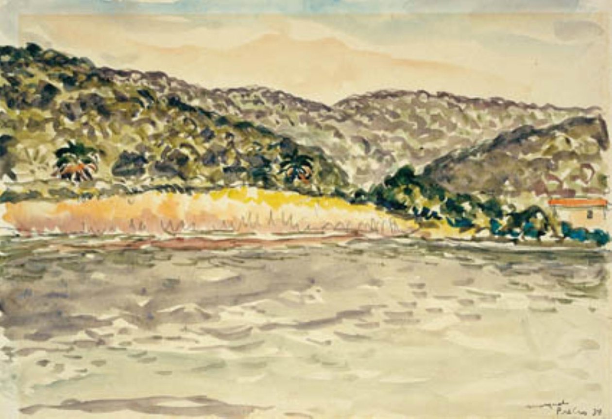Pobřežní krajina na Île de Port Cros od Albert Marquet