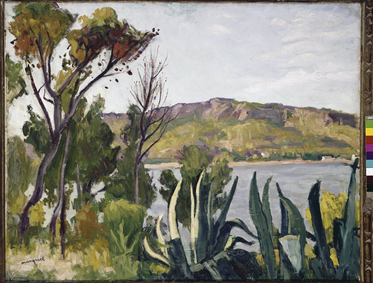 Krajina s agáve. (olej na plátně od Albert Marquet