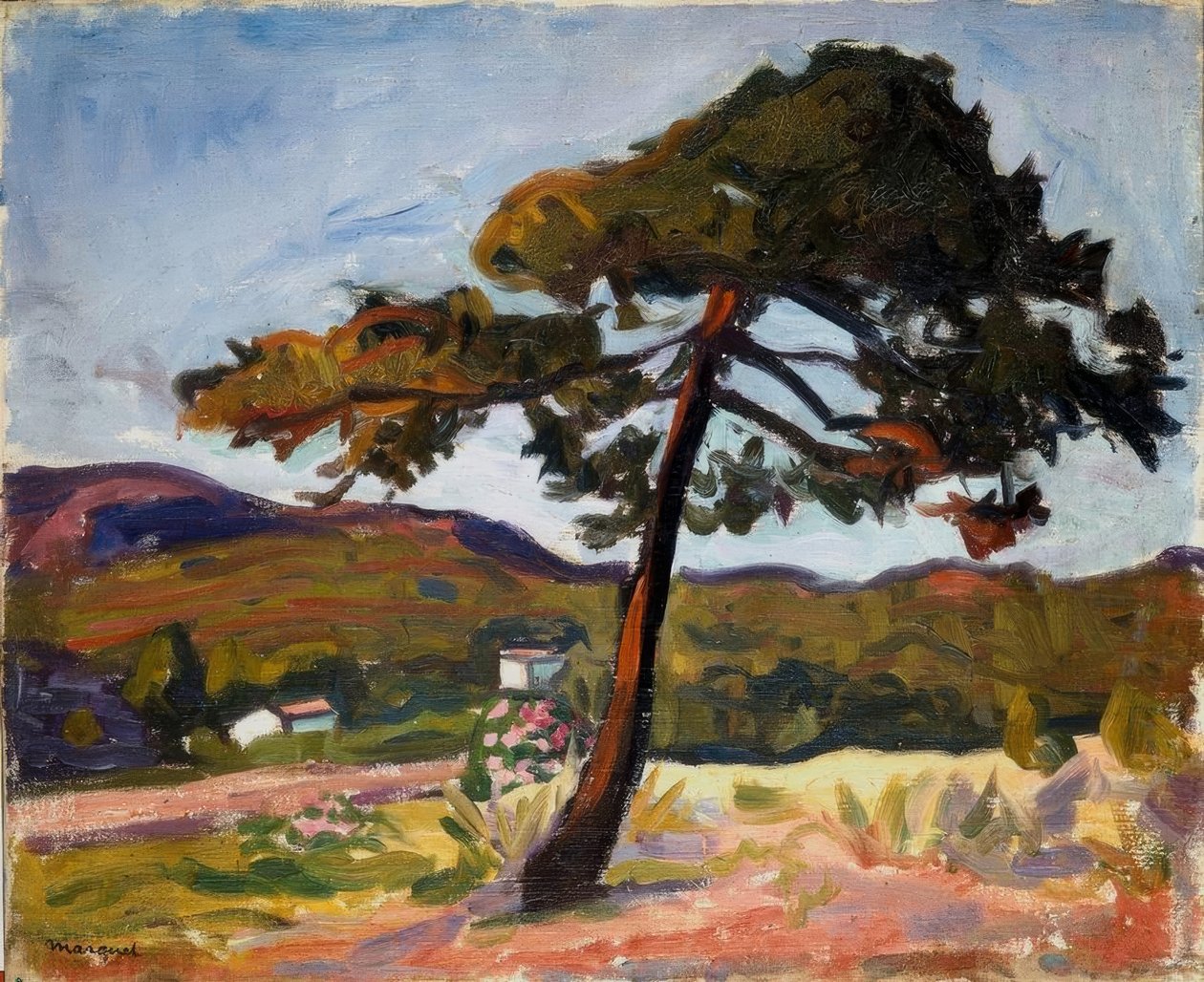 Borovice v St. Tropez od Albert Marquet